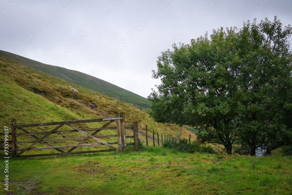 green Scottish hills with a wooden fence in a rainy day 