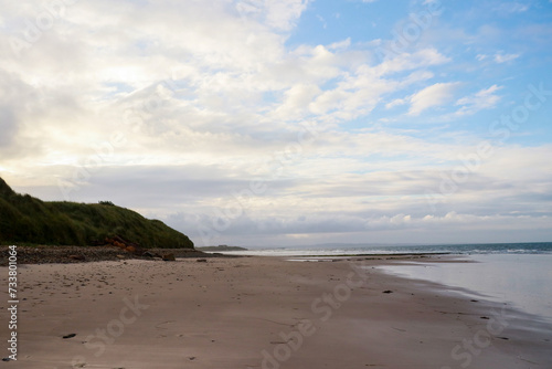 Fototapeta Naklejka Na Ścianę i Meble -  beautiful beach with sand and green seaweed