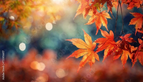 Autumnal Elegance  Captivating Maple Leaves Amidst Soft Focus Light and Bokeh Backdrop 
