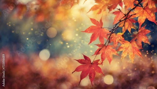 Autumnal Elegance  Captivating Maple Leaves Amidst Soft Focus Light and Bokeh Backdrop 