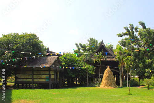 Thai farmers' houses in the countryside have piles of rice straw that can be used for many purposes.