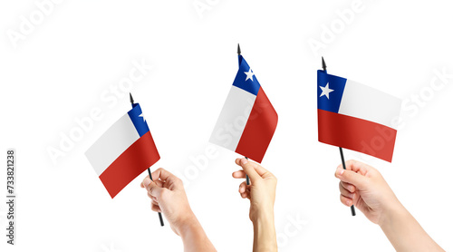 Fototapeta Naklejka Na Ścianę i Meble -  A group of people are holding small flags of Chile in their hands.
