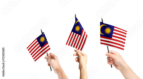 Fototapeta Naklejka Na Ścianę i Meble -  A group of people are holding small flags of Malaysia in their hands.