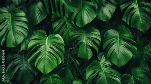 Posh Dark Green Leafy Pattern