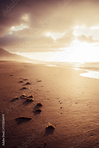 Awesome sun light beautiful  nature landscape on the coastline and sandy beach with mountains in background and clouds and horizon - summer oudor wild concept and explore lifestyle photo