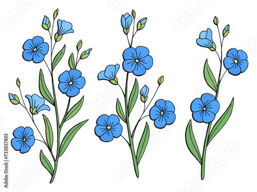 Flax flower graphic color isolated sketch illustration vector