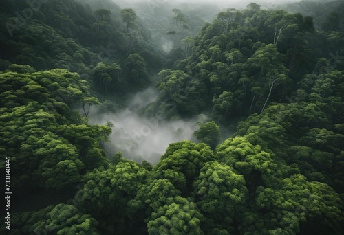 AI generated illustration of a lush green forest on a foggy day © Wirestock