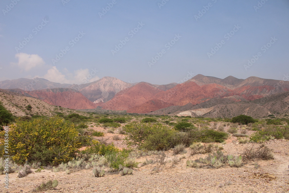 Fields with animals and crops in northwest Argentina