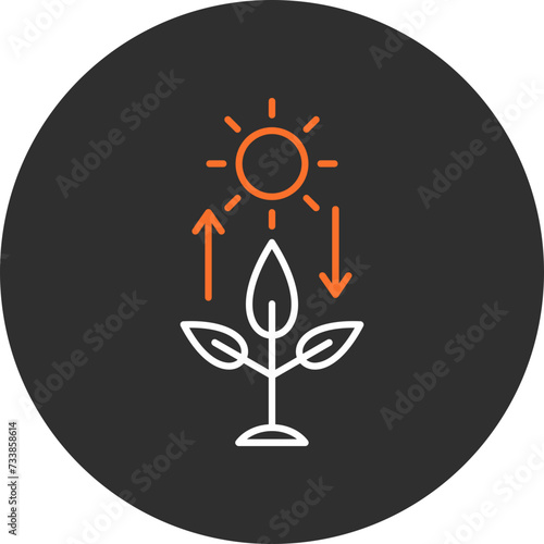 Photosynthesis Icon
