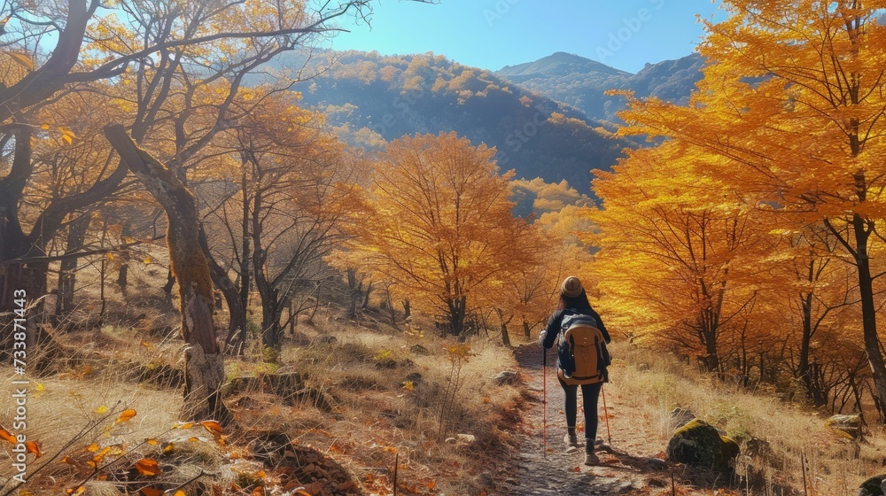 Golden Trails Solo Hike - Autumn Adventure and Solitude, adult, solo hiking, adventure, outdoors, autumn trails, solitude, restorative journey, sunny autumn light