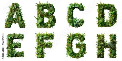 Letters A  B  C  D  E  F  G  H are made of the vibrant green ecosystem of moss  ferns  and monstera plants.