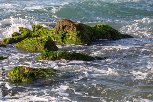 
Mediterranean sea before sunset. Waves wash coastal stones covered with green algae. Israel. Spring