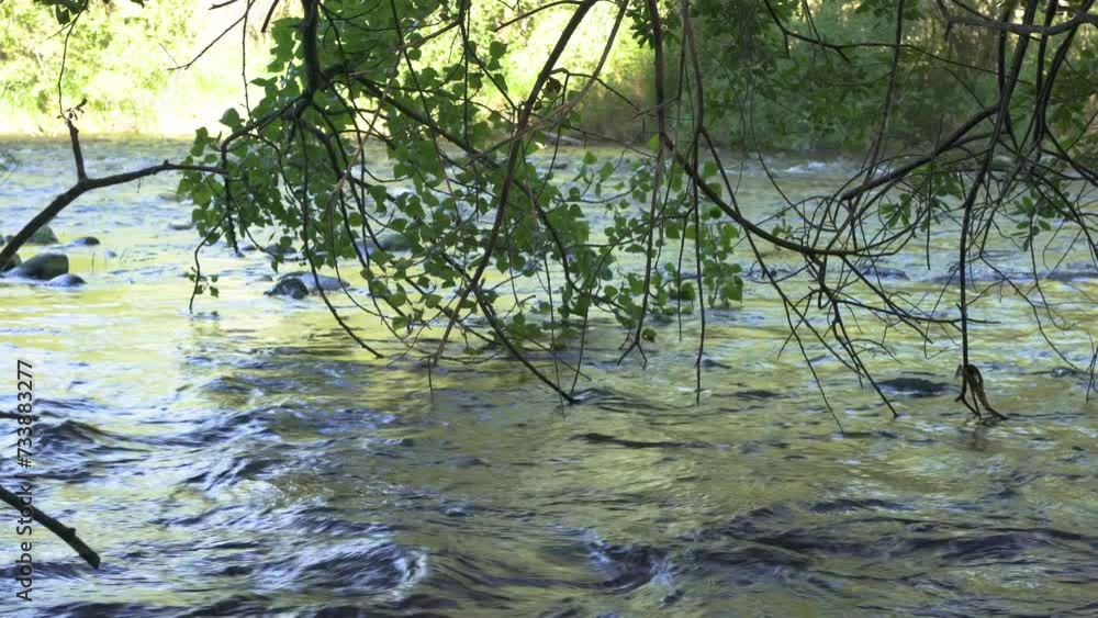 Mountain stream.Beautiful nature landscape natural, fresh river flows between trees in an eco environment. Scenery on adventure walks Mountain stream.Beautiful nature landscape natural, fresh river flows between trees in an eco environment. Scenery on adventure walks