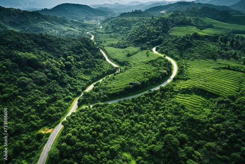 Winding Country Road Through Lush Green Forest and Mountains