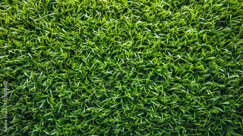Close-Up View of Vibrant Green Grass Texture