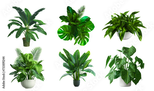 Set of artificial plants isolated on white transparent background. House plants. composition and architecture visualization, png