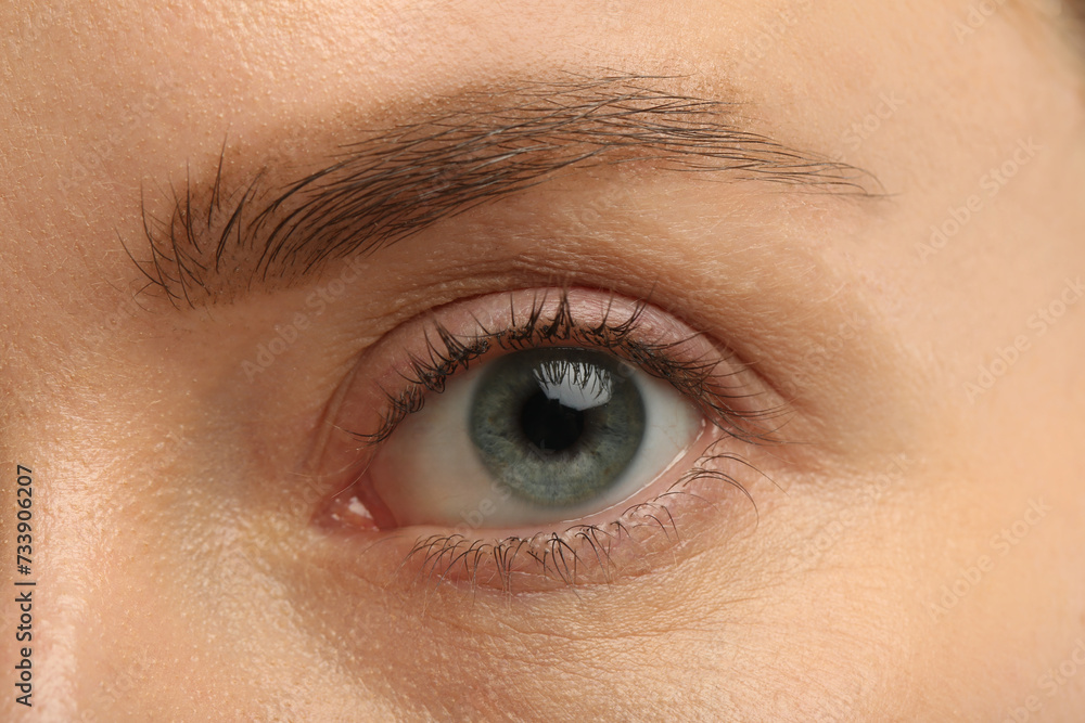 Obraz premium Woman with beautiful natural eyelashes, closeup view
