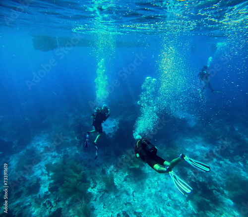 scuba divers underwater, marine activity,  guadeloupe national park in malendure photo