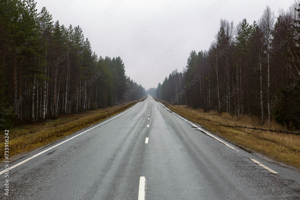 Fototapeta premium fogy street in finland along a forest