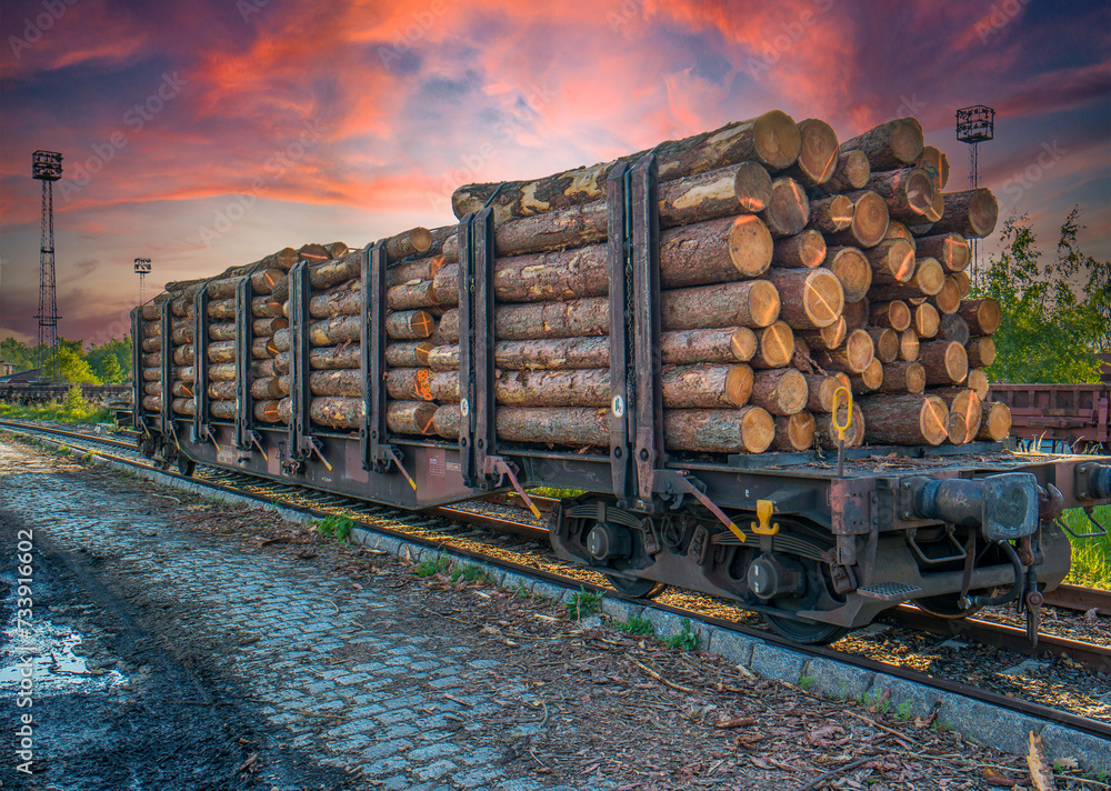 Freight train loaded with logs Freight train loaded with logs