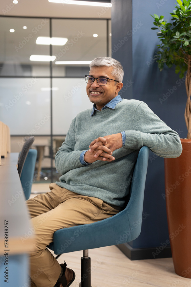 Fototapeta premium Smiling mature businessman sitting in office