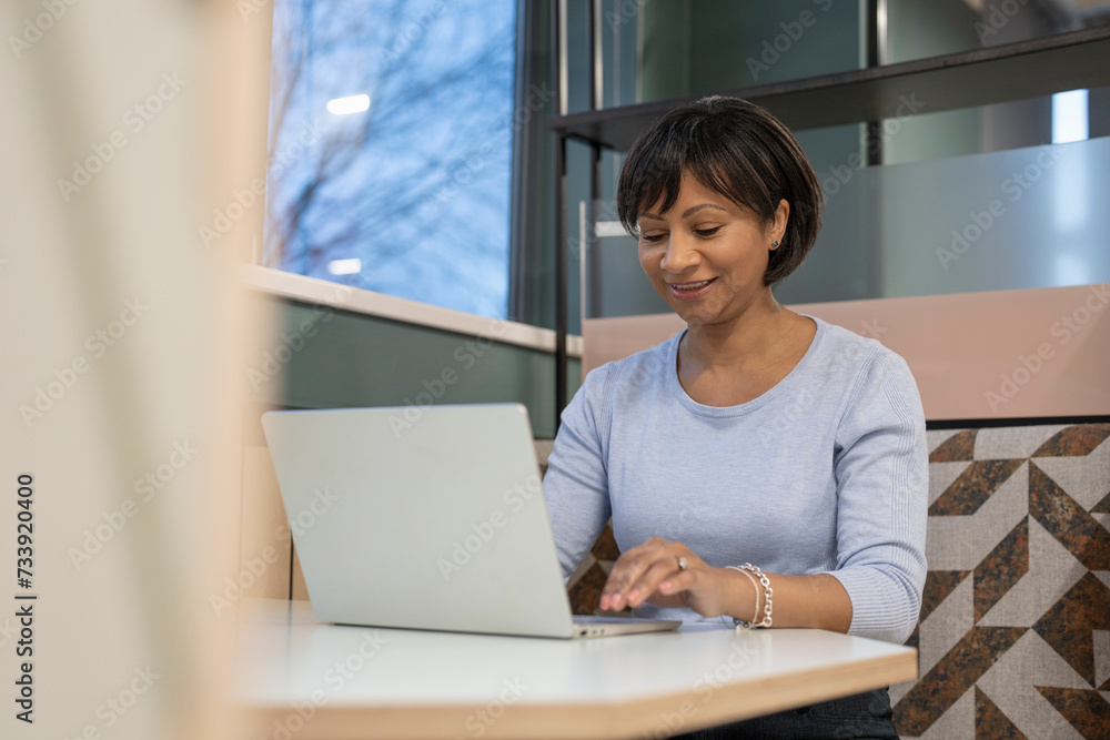 Smiling mature businesswoman working on laptop in office Smiling mature businesswoman working on laptop in office
