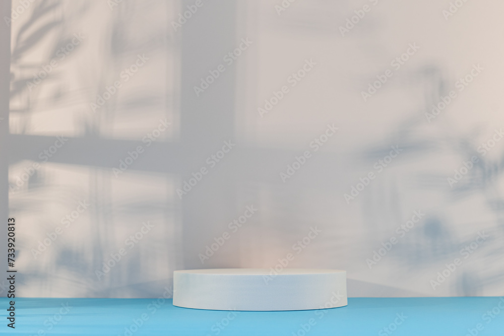 Fond avec un podium vide pour création d'arrière plan de couleurs bleu et blanc avec un jeu d'ombre d'une fenêtre et de branches.	 - obrazy, fototapety, plakaty 