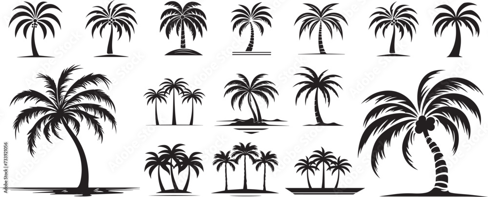 palm tree, set of vector shapes collection