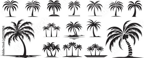 palm tree  set of vector shapes collection