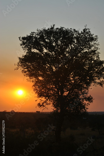 African sunset over the savanna © Wojtek