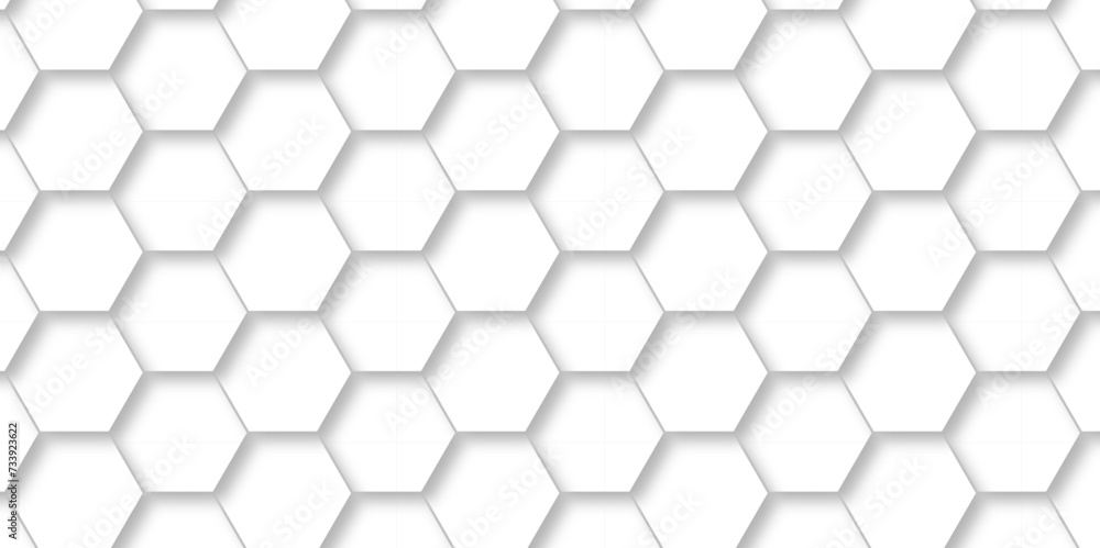Abstract modern Background with white lines 3d Hexagonal structure futuristic white background and Embossed Hexagon , honeycomb white Background ,light and shadow ,Vector. Abstract modern Background with white lines 3d Hexagonal structure futuristic white background and Embossed Hexagon , honeycomb white Background ,light and shadow ,Vector.