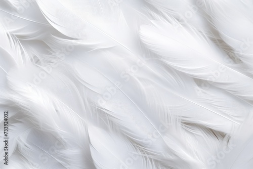 Feathers background for peace calm, Closeup, white and feathers background , Closeup White Feathers Background for Peace, Calm, and Spirituality, Ai generated © Tanu