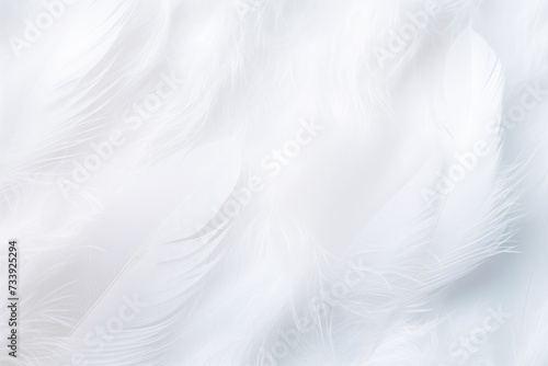 Closeup, white and feathers background for peace, white and feathers background for spirituality for God, religion and hope, Ai generated © Tanu