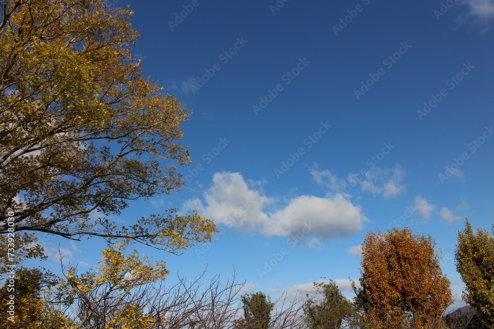 秋の風景 ふわふわの雲と紅葉の木 秋の風景 ふわふわの雲と紅葉の木