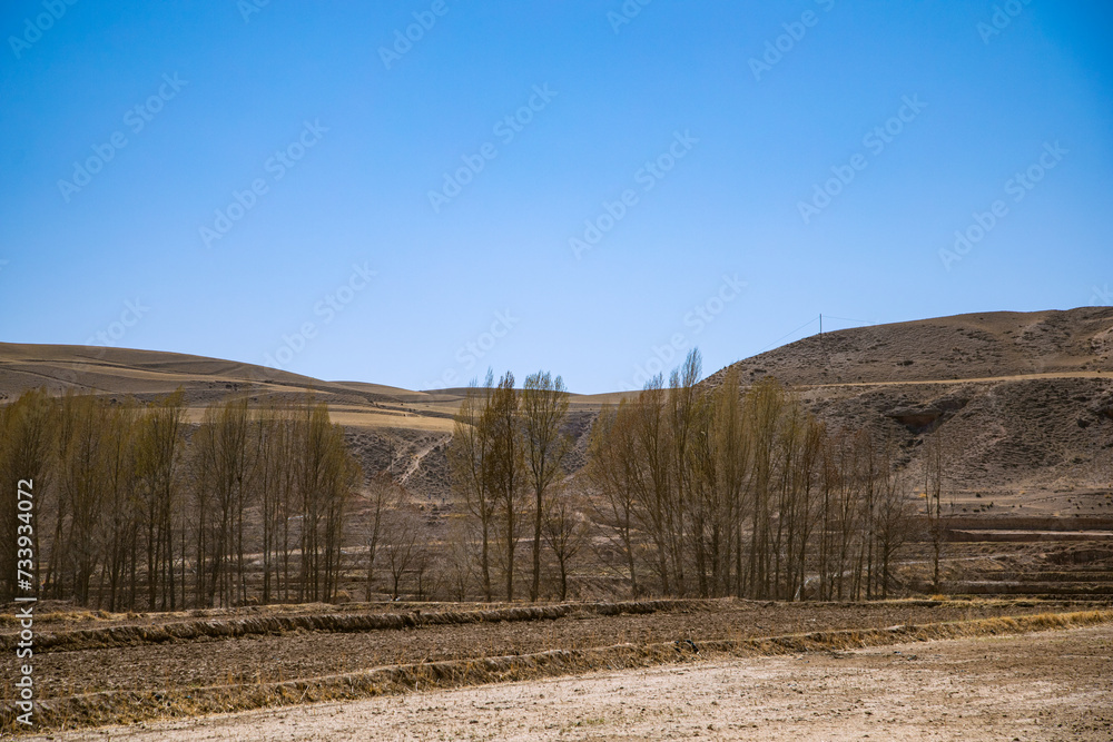 Shandan Military Horse Farm, Zhangye City, Gansu Province - Road under the snowy mountains of Qilian Mountains Shandan Military Horse Farm, Zhangye City, Gansu Province - Road under the snowy mountains of Qilian Mountains