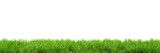 Seamless green lawn border isolated on transparent background. 3D render. 3D illustration. 