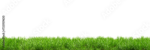 Seamless green lawn border isolated on transparent background. 3D render. 3D illustration. 