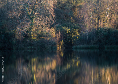 Oak trees and thick vegetation reflected in the calm waters of a lagoon