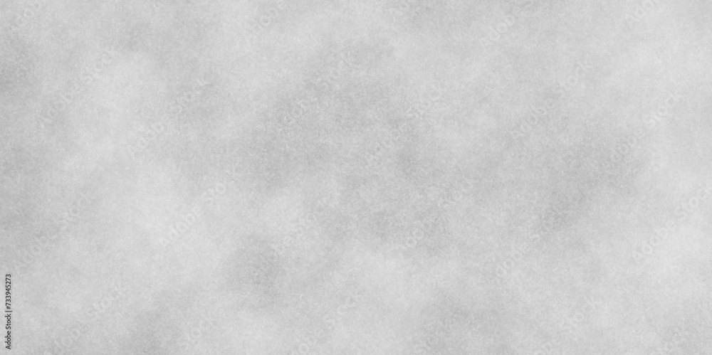Abstract dust particle and dust grain texture on white background. Grunge white and light gray texture, Vintage blurred gray grunge on isolated background. Light gray snow pattern, marble textrue - obrazy, fototapety, plakaty 