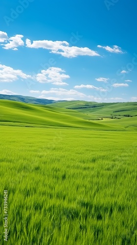 Green rolling hills under blue sky with white clouds