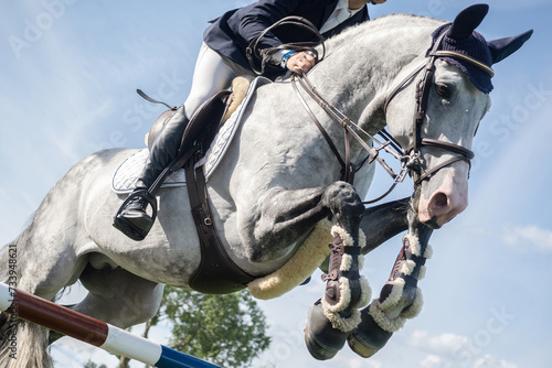 Equestrian Sports photo-themed: Horse jumping, Show Jumping, Horse riding. Jockey competing in horse jumping competition.