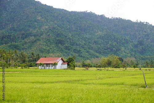 landscape with house
