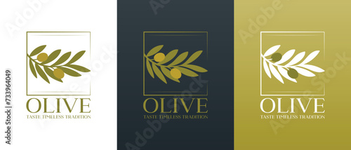 Vector logo of olive branch with leaves. Modern hand drawn vector olive oil icons. Branding concept for olive oil company, organic, eco-friendly products, wellness, beauty, culinary services