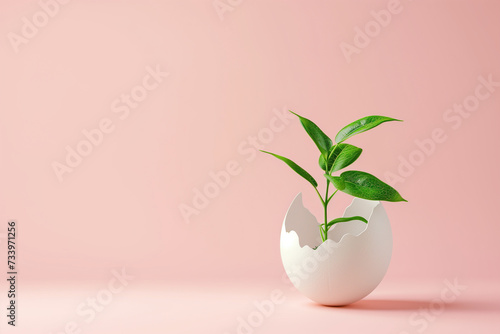 Creative spring time concept with green plant in the eggshell on pinky background. Copy space. Banner