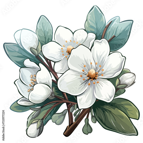 Magnolia flower painting white magnolia drawing, woodland winter flower
