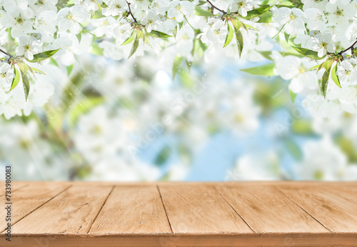 Blooming cherry or apply garden flooded with sunlight and empty wooden background with copy space. Happy Passover or Easter background. Womens or Mother day holiday. World environment day.  Mock up.