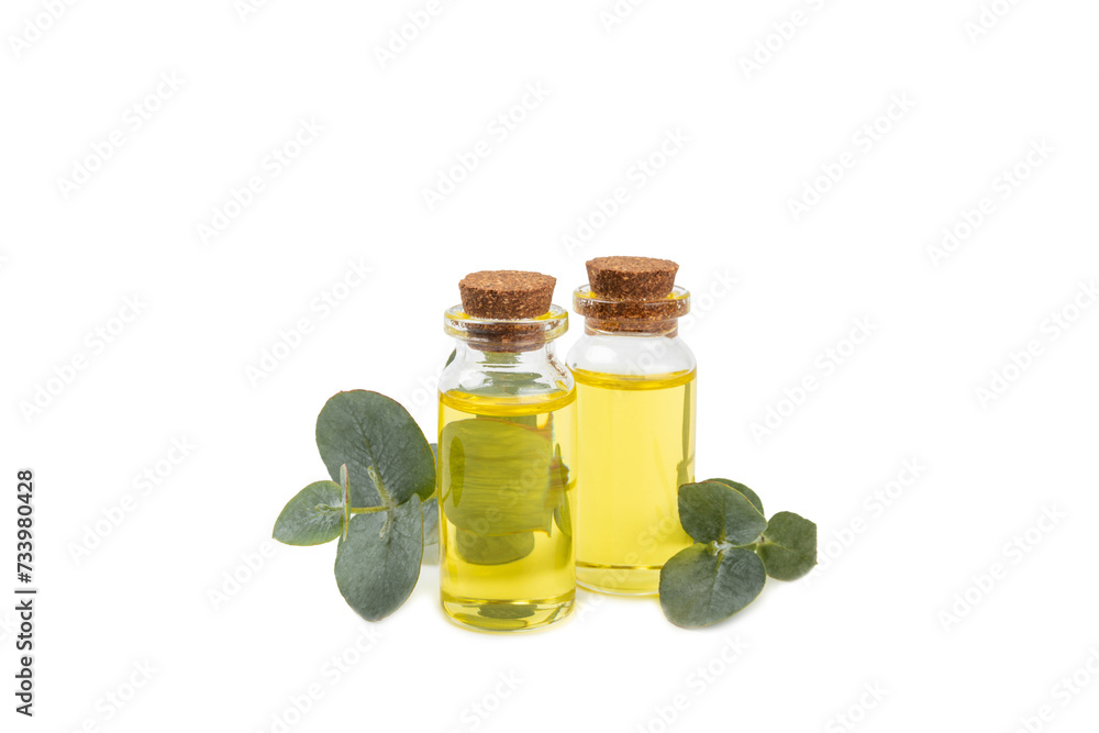 Eucalyptus essential oil in a glass bottle with green eucalyptus leaves isolated on white background. Aromatherapy. Spa. Concept of natural cosmetology and beauty industry. Eucalyptus essential oil in a glass bottle with green eucalyptus leaves isolated on white background. Aromatherapy. Spa. Concept of natural cosmetology and beauty industry.
