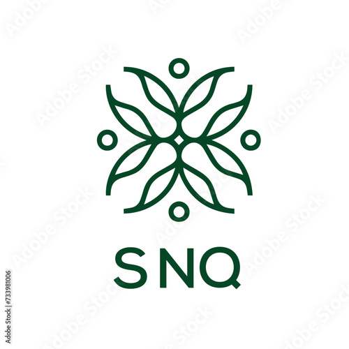 SNQ  logo design template vector. SNQ Business abstract connection vector logo. SNQ icon circle logotype. 