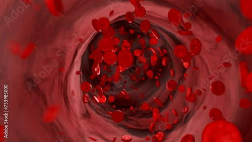 Blood cells flowing through the vein. Hemoglobin, corpuscle, bloodstream, blood plasma, arteries. photo