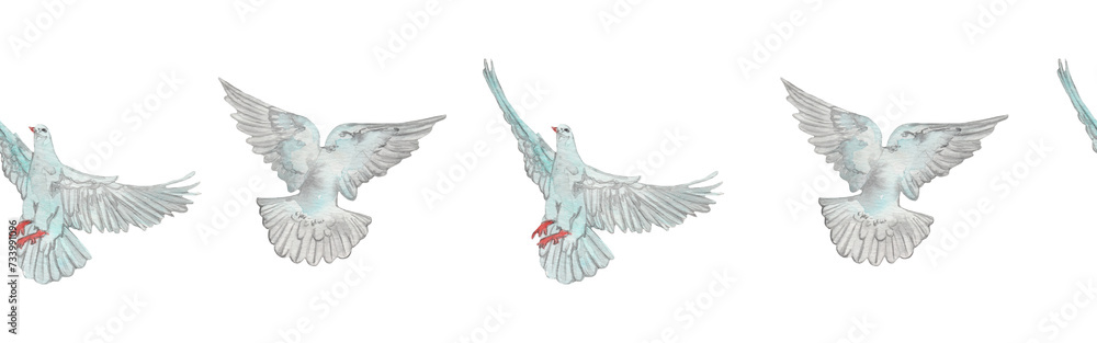 Obraz premium Watercolor birds flying pigeons border. Birds seamless border. Hand painted illustration in natural colors on white backround.